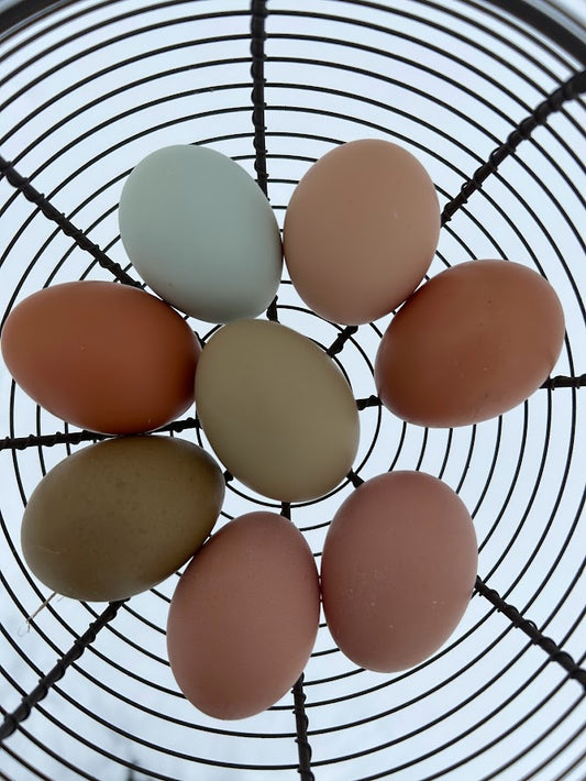 Free Range Eggs